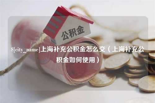 上海上海补充公积金怎么交（上海补充公积金如何使用）